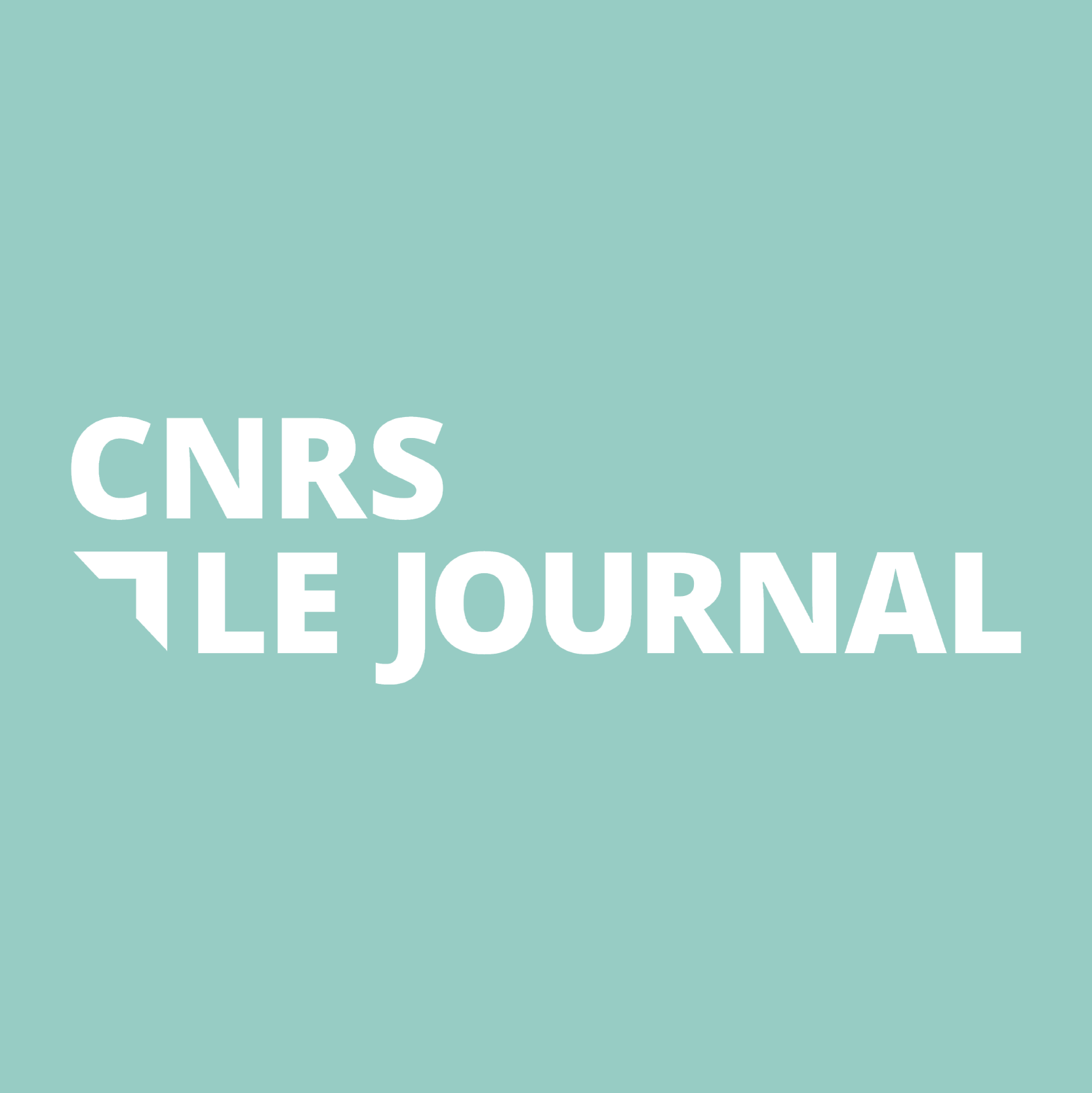 Hln_portfolio_CNRS_logo1